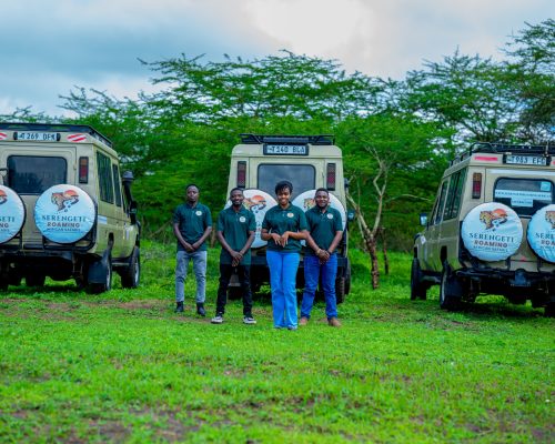 SERENGETI ROAMING AFRICAN SAFARI