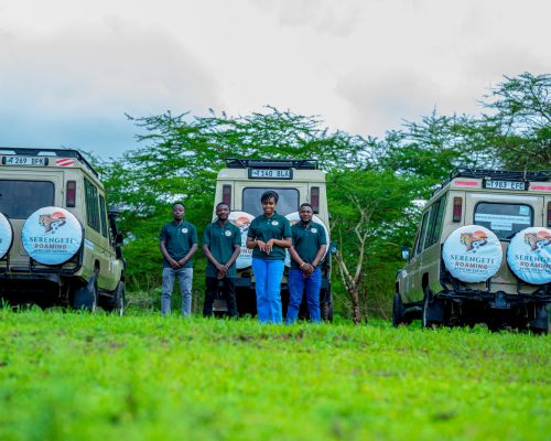 SERENGETI ROAMING AFRICAN SAFARI