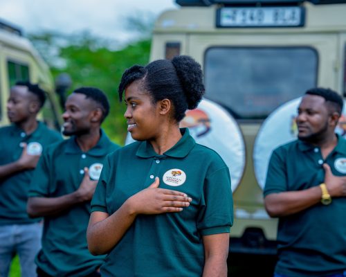 SERENGETI ROAMING AFRICAN SAFARI