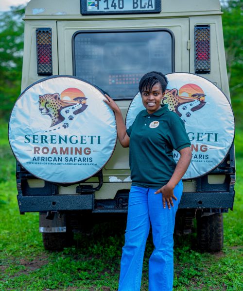 SERENGETI ROAMING AFRICAN SAFARI