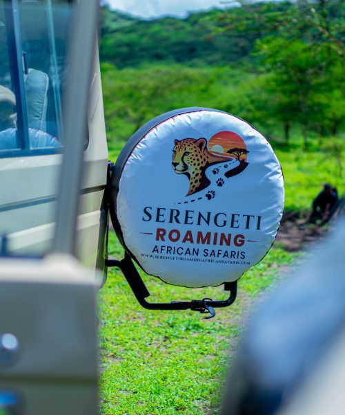 SERENGETI ROAMING AFRICAN SAFARI